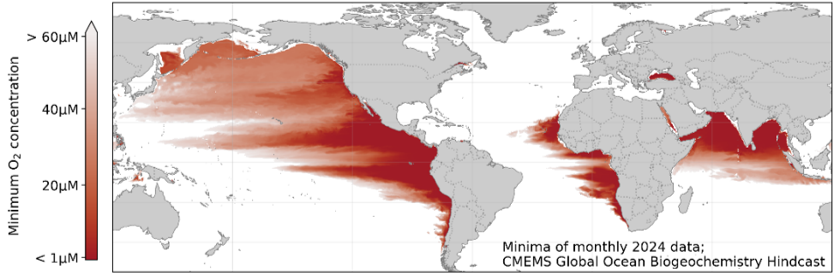 Fluxes in low oxygen regions